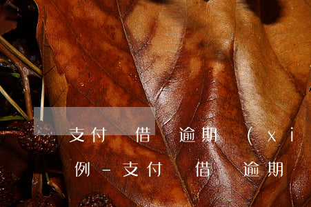 支付寶借唄逾期協(xié)商停息成功案例-支付寶借唄逾期協(xié)商怎么說(shuō)