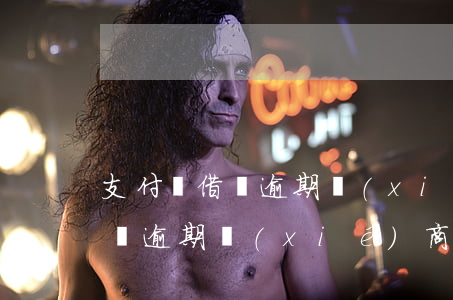 支付寶借唄逾期協(xié)商政策(螞蟻借唄逾期協(xié)商)
