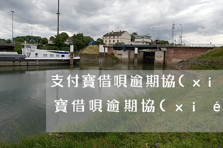 支付寶借唄逾期協(xié)商還款-支付寶借唄逾期協(xié)商還款為什么要對(duì)公賬戶