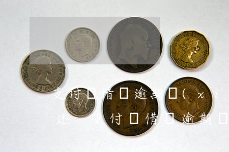 支付寶借唄逾期協(xié)商還款事件描述-支付寶借唄逾期協(xié)商還款事件描述怎么寫