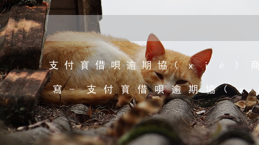 支付寶借唄逾期協(xié)商還款怎么填寫-支付寶借唄逾期協(xié)商還款怎么填寫資料