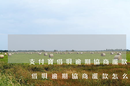 支付寶借唄逾期協商還款怎么填寫-支付寶借唄逾期協商還款怎么填寫資料