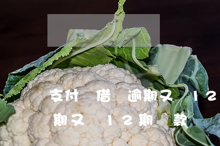 支付寶借唄逾期又給12期-支付寶借唄逾期又給12期還款
