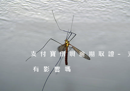 支付寶借唄逾期取證-支付寶借唄逾期取證有影響嗎