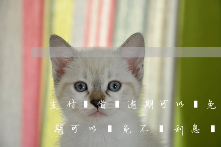 支付寶借唄逾期可以減免不-支付寶借唄逾期可以減免不還利息嗎