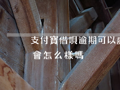 支付寶借唄逾期可以處理嗎(支付借唄逾期了會怎么樣嗎)