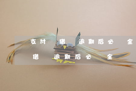 支付寶借唄逾期后必須全額還款嗎-支付寶借唄逾期后必須全額還款嗎怎么辦