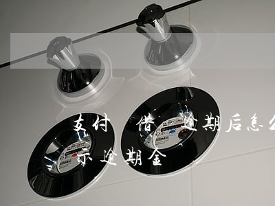 支付寶借唄逾期后怎么看額度（支付寶借唄顯示逾期金額準確嗎）
