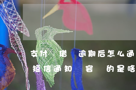 支付寶借唄逾期后怎么通知(支付寶借唄逾期短信通知內容寫的是啥)