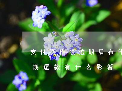 支付寶借唄逾期后有什么影響 支付寶借唄逾期還款有什么影響