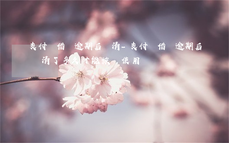 支付寶借唄逾期后還清-支付寶借唄逾期后還清了多久才能恢復使用