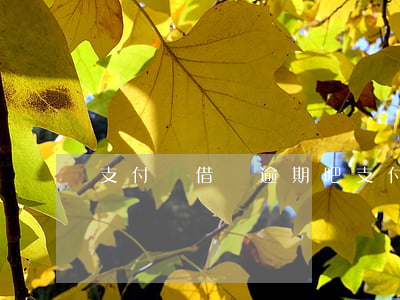 支付寶借唄逾期吧(支付寶借唄逾期后果)