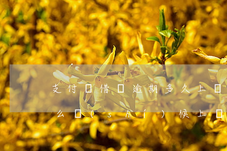 支付寶借唄逾期多久上傳征信-借唄逾期什么時(shí)候上傳征信?