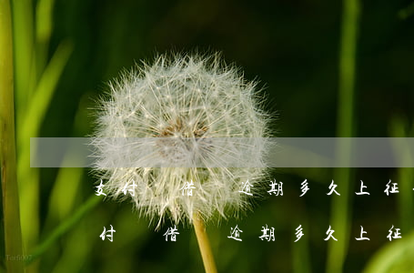 支付寶借唄逾期多久上征信?借唄上征信-支付寶借唄逾期多久上征信?借唄逾期幾天上征信