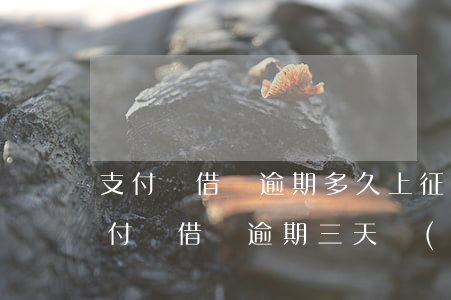 支付寶借唄逾期多久上征信?借唄逾期一天（支付寶借唄逾期三天會(huì)上征信）