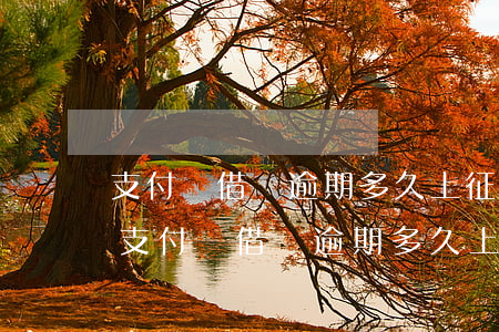 支付寶借唄逾期多久上征信?借唄逾期利息-支付寶借唄逾期多久上征信?借唄逾期幾天