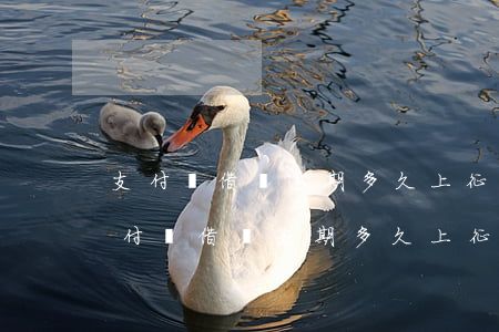 支付寶借唄逾期多久上征信會影響什么-支付寶借唄逾期多久上征信會影響什么呢
