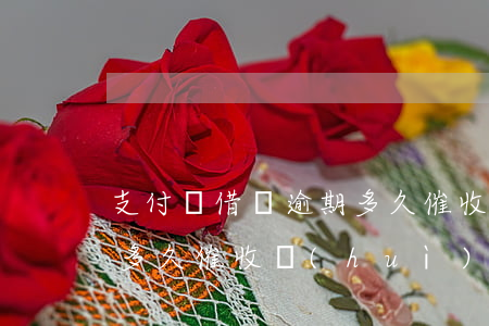 支付寶借唄逾期多久催收-支付寶借唄逾期多久催收會(huì)打電話