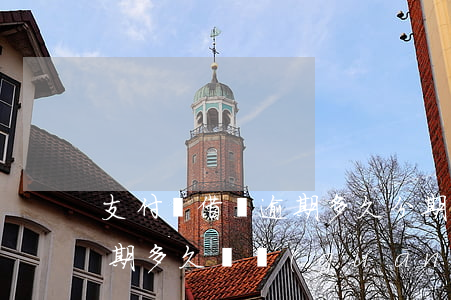 支付寶借唄逾期多久分期會被取消-借唄逾期多久會關(guān)閉分期