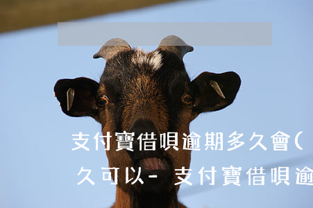 支付寶借唄逾期多久會(huì)上征信多久可以-支付寶借唄逾期多久會(huì)上征信多久可以消除花唄
