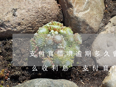 支付寶借唄逾期多久會(huì)被起訴什么收利息-支付寶借唄逾期多久會(huì)被起訴會(huì)有什么后果