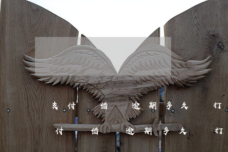 支付寶借唄逾期多久會打電話通知本人-支付寶借唄逾期多久會打電話通知本人還款