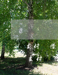 支付寶借唄逾期多久會被起訴什么收利息-支付寶借唄逾期多久會被起訴會有什么后果