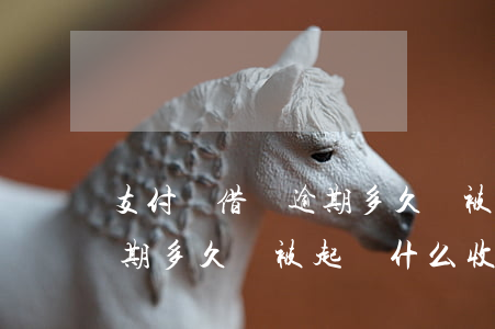 支付寶借唄逾期多久會被起訴 支付寶借唄逾期多久會被起訴什么收利息