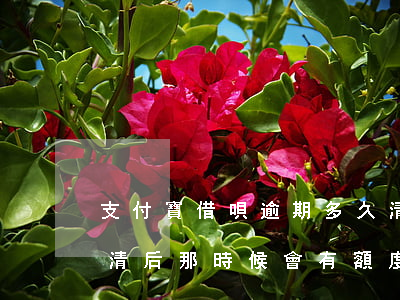 支付寶借唄逾期多久清零(支付寶借唄逾期還清后那時候會有額度)