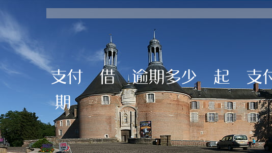 支付寶借唄逾期多少錢起訴(支付寶的借唄逾期)