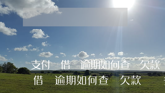支付寶借唄逾期如何查詢欠款總額-支付寶借唄逾期如何查詢欠款總額多少
