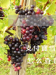 支付寶借唄逾期如何查詢欠款總額(借唄逾期怎么查還有多少錢沒還)