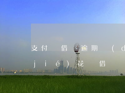 支付寶借唄逾期導(dǎo)致花唄凍結(jié)(花唄借唄凍結(jié)的原因)