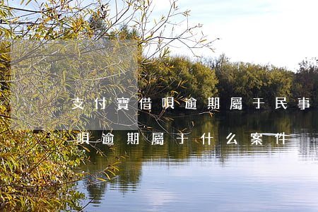 支付寶借唄逾期屬于民事糾紛嗎-支付寶借唄逾期屬于什么案件