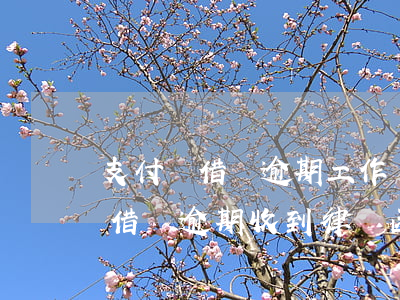 支付寶借唄逾期工作組讓簽律師函-支付寶借唄逾期收到律師函