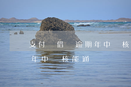 支付寶借唄逾期年中審核-支付寶借唄逾期年中審核能通過嗎