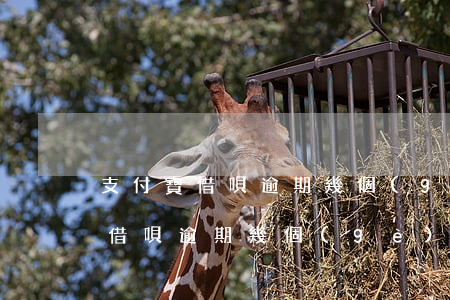 支付寶借唄逾期幾個(gè)月了-支付寶借唄逾期幾個(gè)月了有事嗎