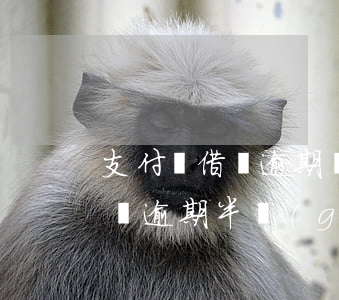 支付寶借唄逾期幾個(gè)月了(支付寶借唄逾期半個(gè)月會(huì)怎樣)