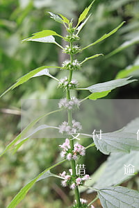 支付寶借唄逾期幾十萬(wàn)-支付寶借唄逾期幾十萬(wàn)會(huì)怎么樣