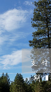 支付寶借唄逾期幾天凍結(jié)(還唄逾期會(huì)凍結(jié)支付寶嗎)