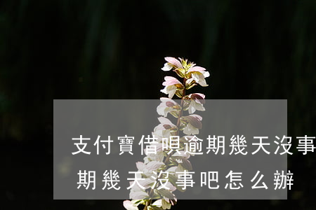 支付寶借唄逾期幾天沒事吧-支付寶借唄逾期幾天沒事吧怎么辦
