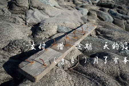 支付寶借唄逾期幾天的后果(支付寶借唄逾期幾個(gè)月了有事嗎)