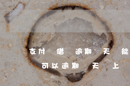 支付寶借唄逾期幾天還能再還上嗎(支付寶借唄可以逾期幾天還上還能借出來嗎)