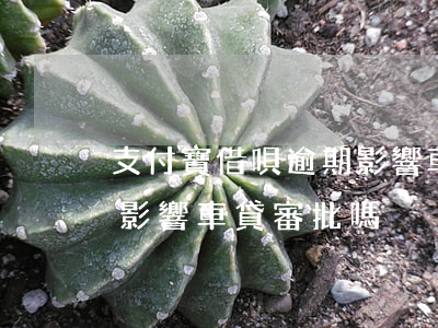 支付寶借唄逾期影響車貸-支付寶借唄逾期影響車貸審批嗎