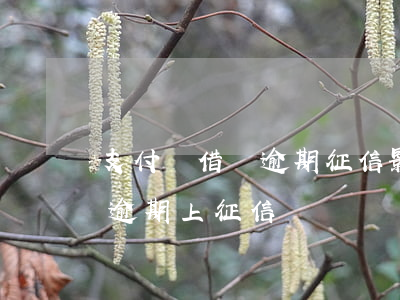 支付寶借唄逾期征信影響什么-支付寶借唄逾期上征信嗎?
