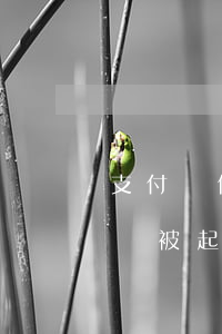 支付寶借唄逾期很久會被告嗎(借唄逾期好久會被起訴)