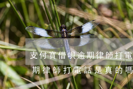 支付寶借唄逾期律師打電話-支付寶借唄逾期律師打電話是真的嗎