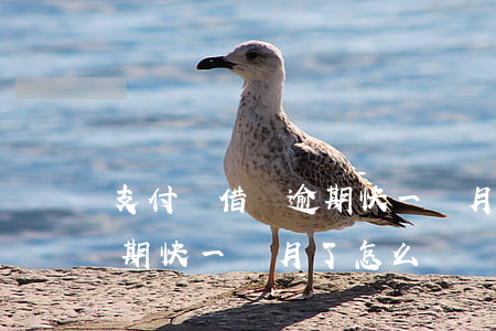 支付寶借唄逾期快一個月了-支付寶借唄逾期快一個月了怎么辦
