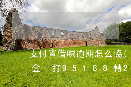 支付寶借唄逾期怎么協(xié)商只還本金-打95188轉2協(xié)商逾期的事情