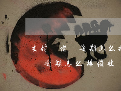 支付寶借唄逾期怎么接催收電話-支付寶借唄逾期怎么接催收電話啊